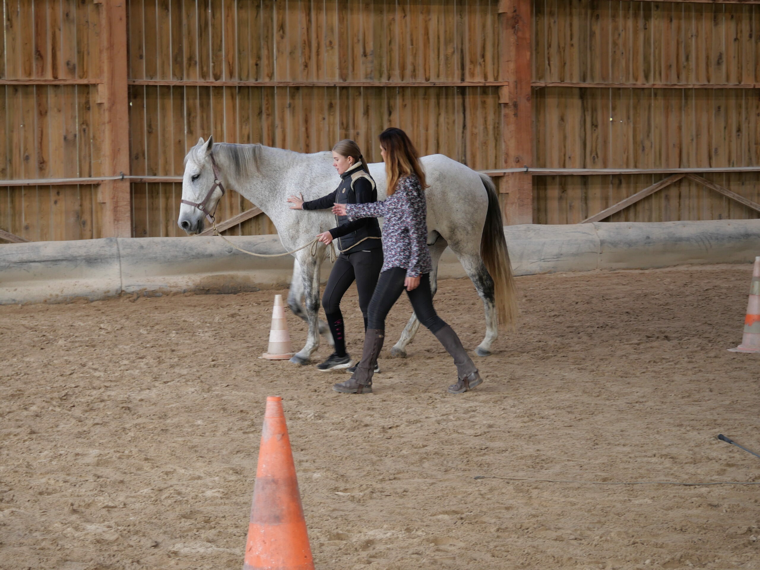 séance equicoaching individuel