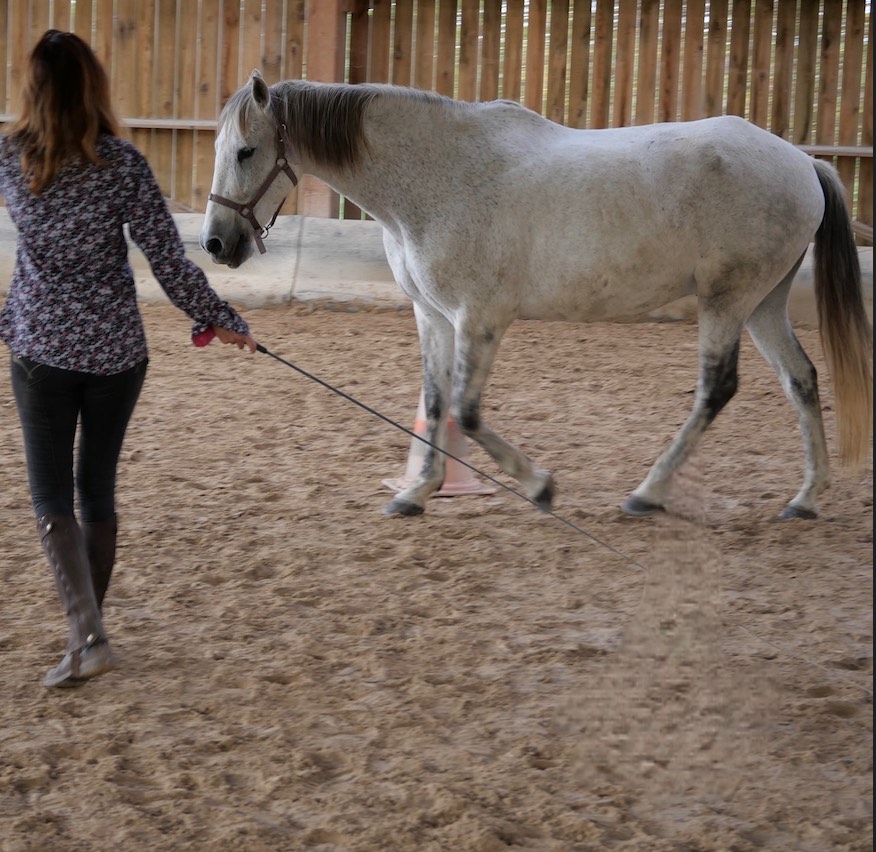 Equicoaching Ikuma Formation