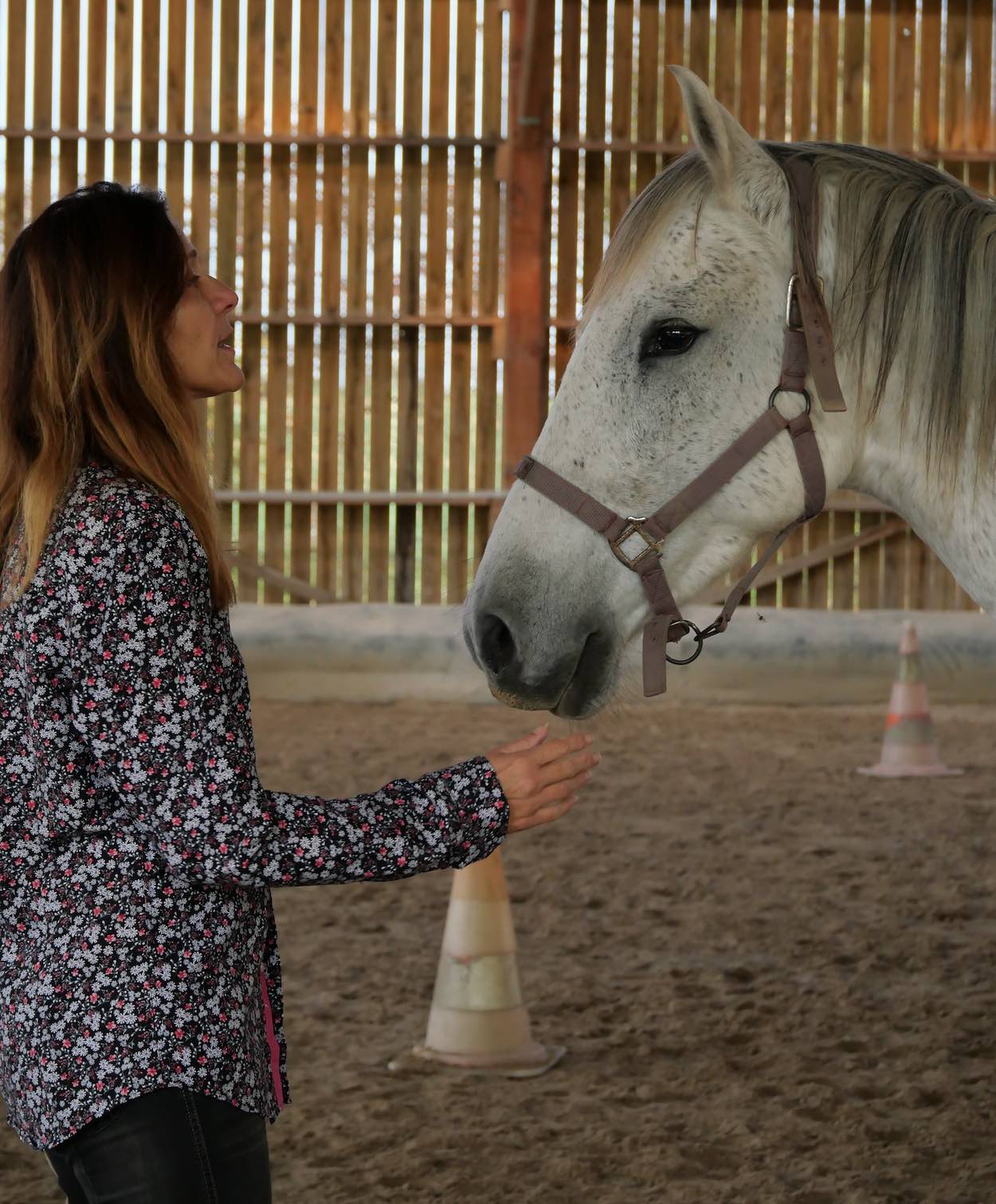 Equicoach Christel Chomette Ikuma Formation