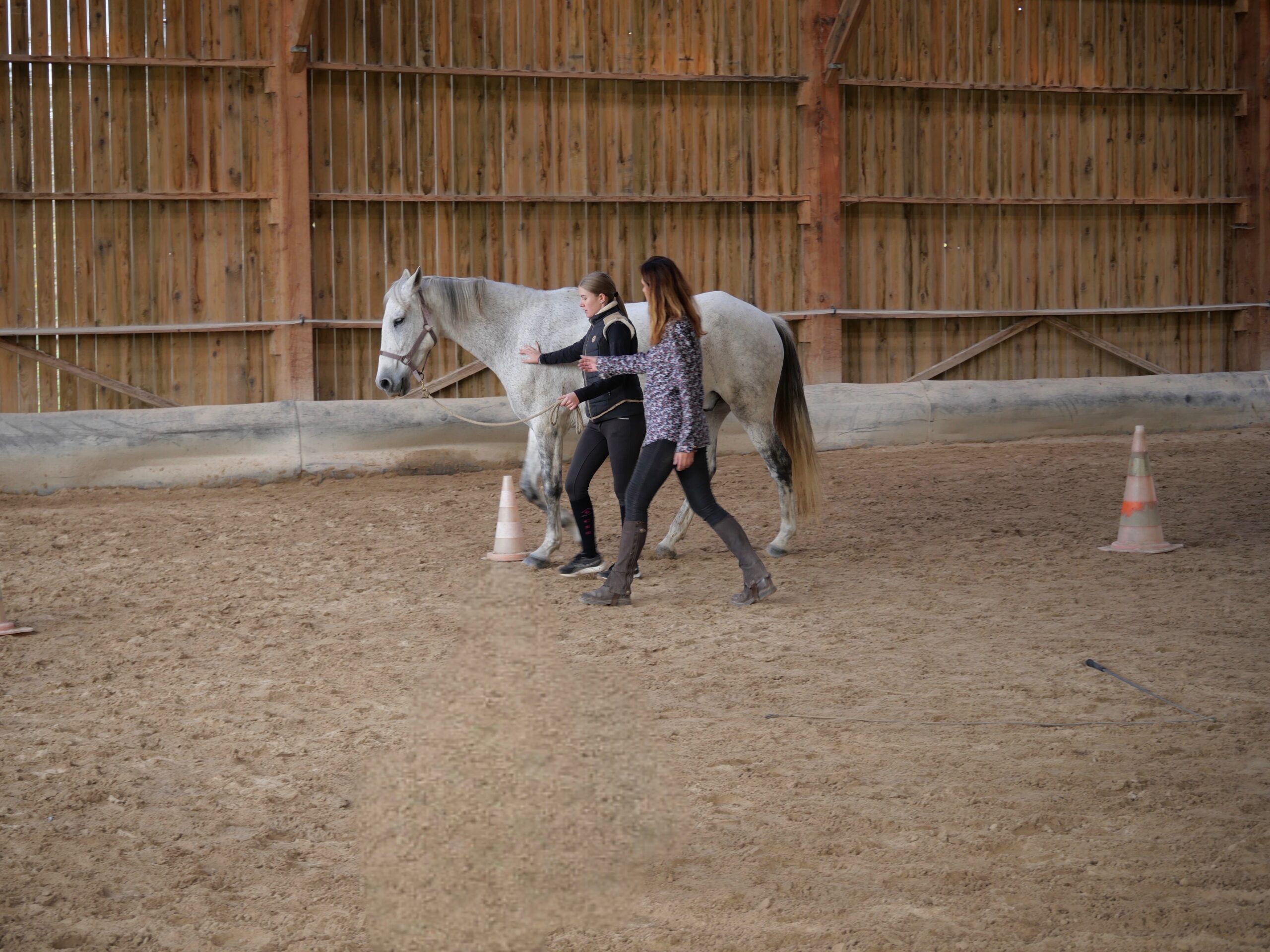 equicoaching equipe cohesion