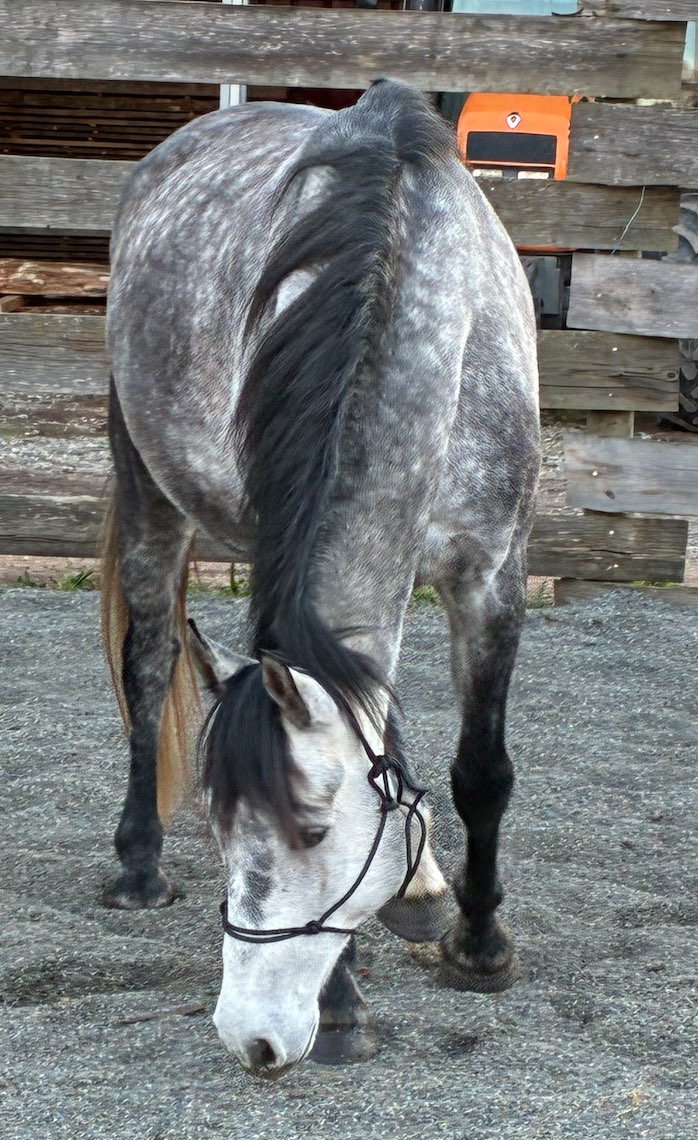 Ikuma Formation equicoaching equipe entreprise