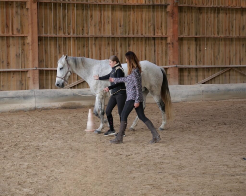 Equicoaching individuel Ikuma Formation